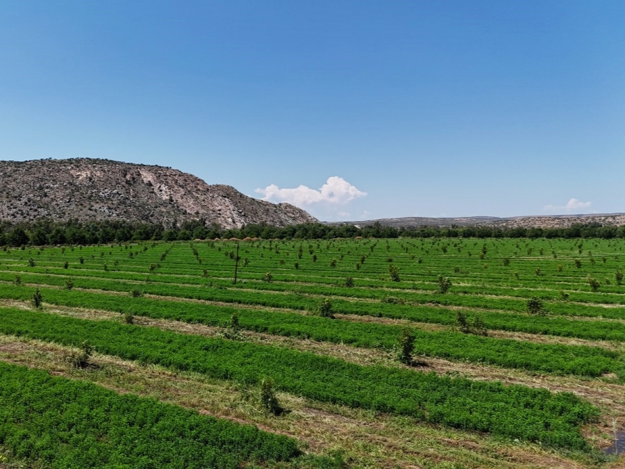 Commercial Property for Sale in Groblershoop Northern Cape